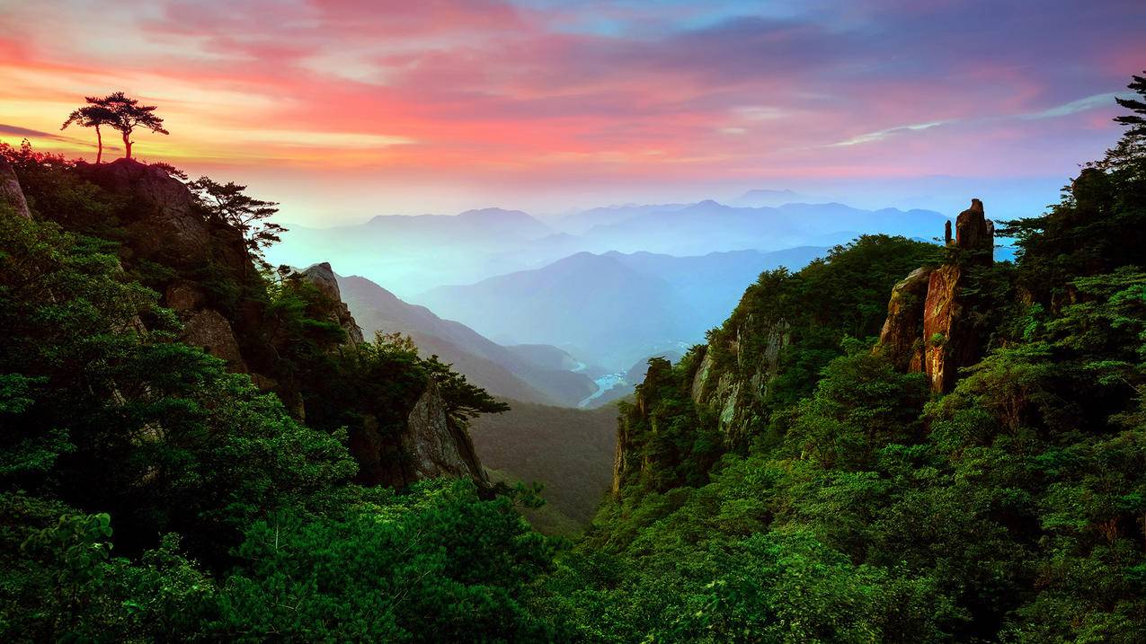 网红商城